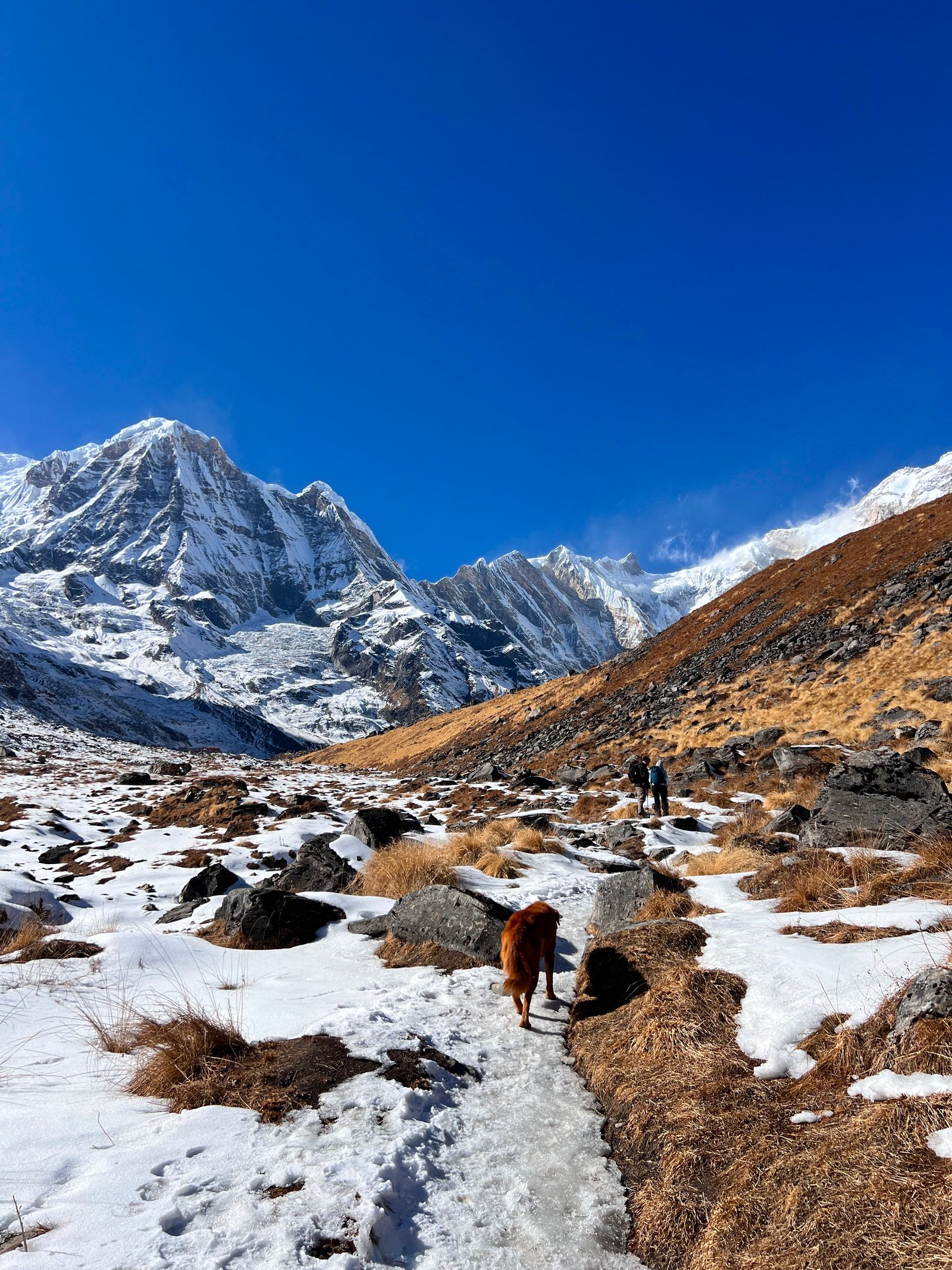 Classic Annapurna Base Camp Trek 7 Days photo 7
